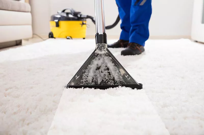5 Conseils Pro pour le Nettoyage de Tapis